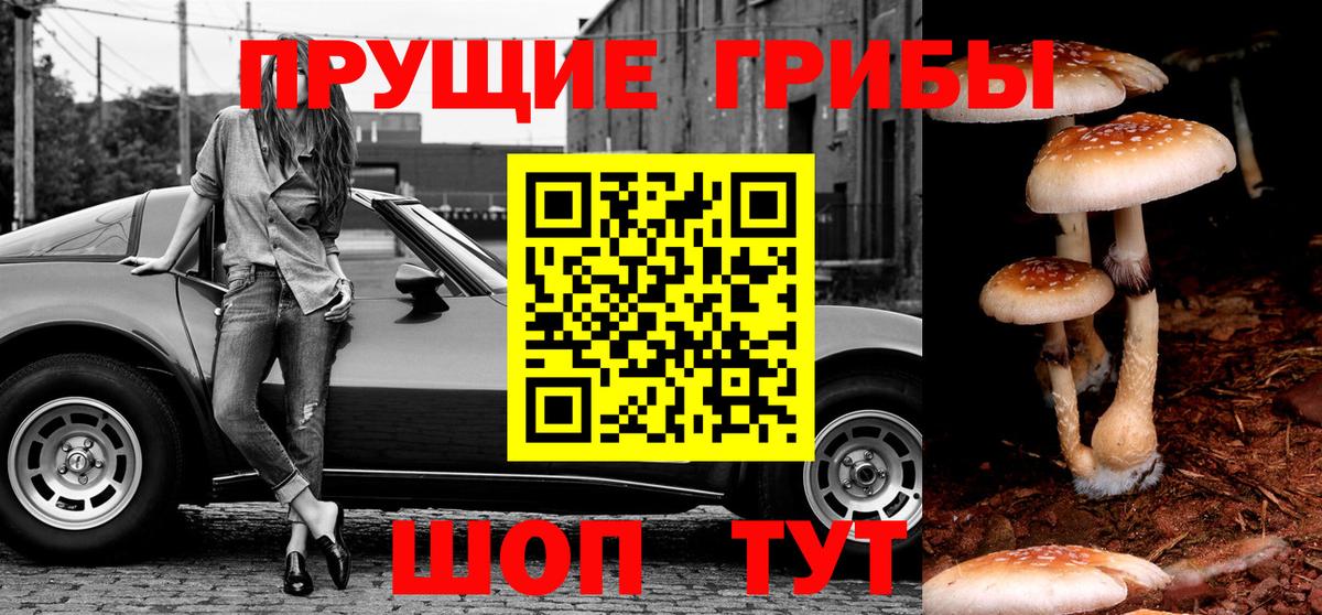 Галлюциногенные грибы GOLDEN TEACHER Кандалакша